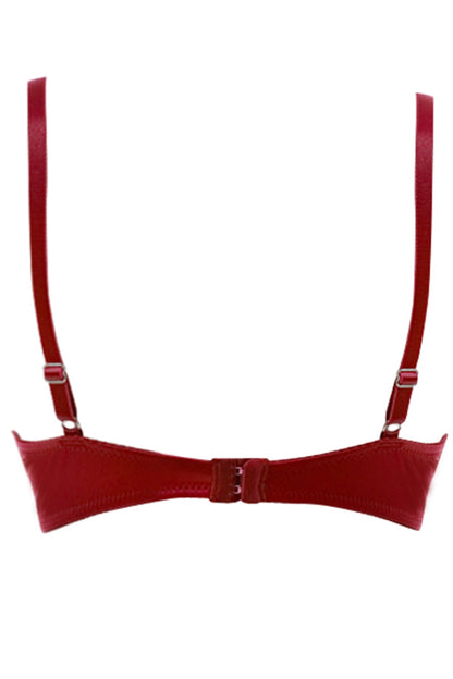 BLS Costanza Wired And Pushup Bra Bordory