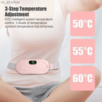 Digital Period Heating Pad & Vibrating Belt price in Pakistan