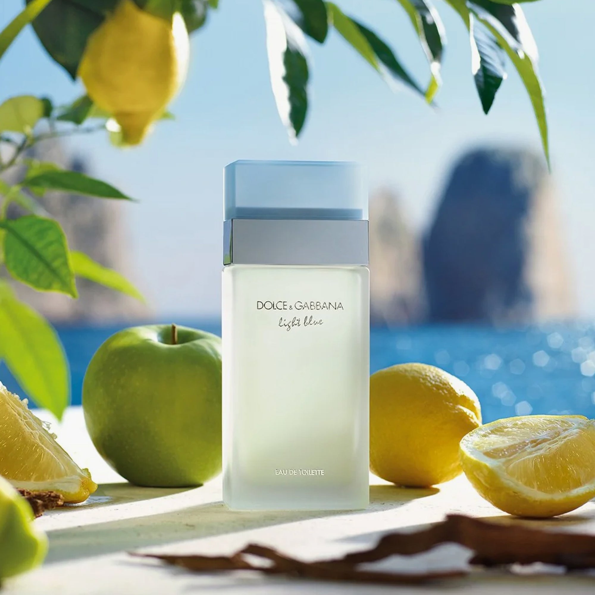 Dolce & Gabbana Light Blue Eau De Toilette For Women 100ml Reviews