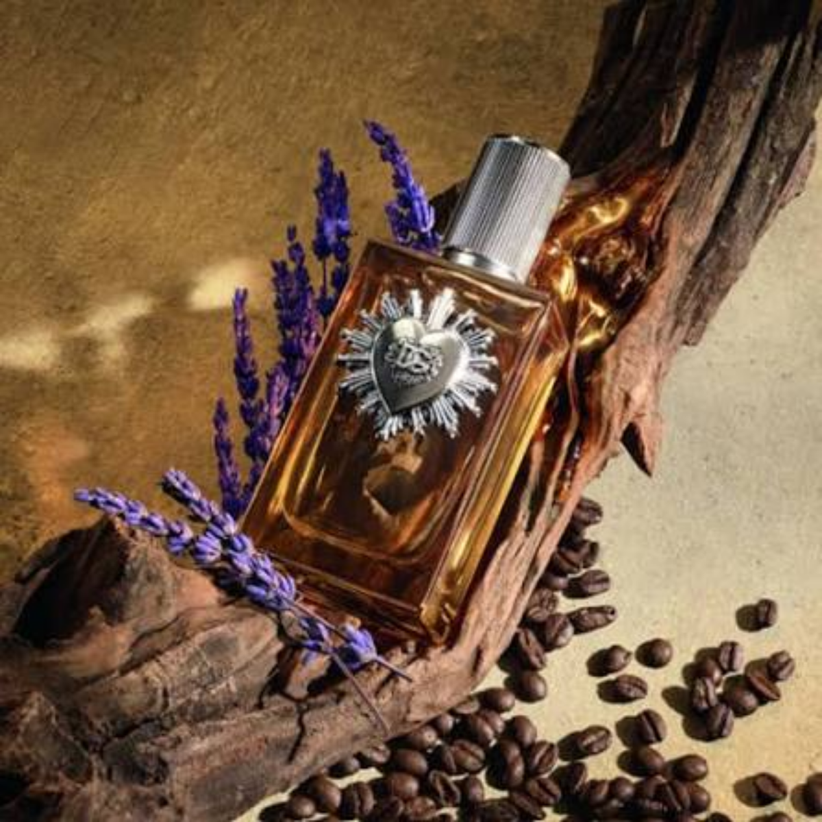 Dolce & Gabbana Devotion Pour Homme Parfum