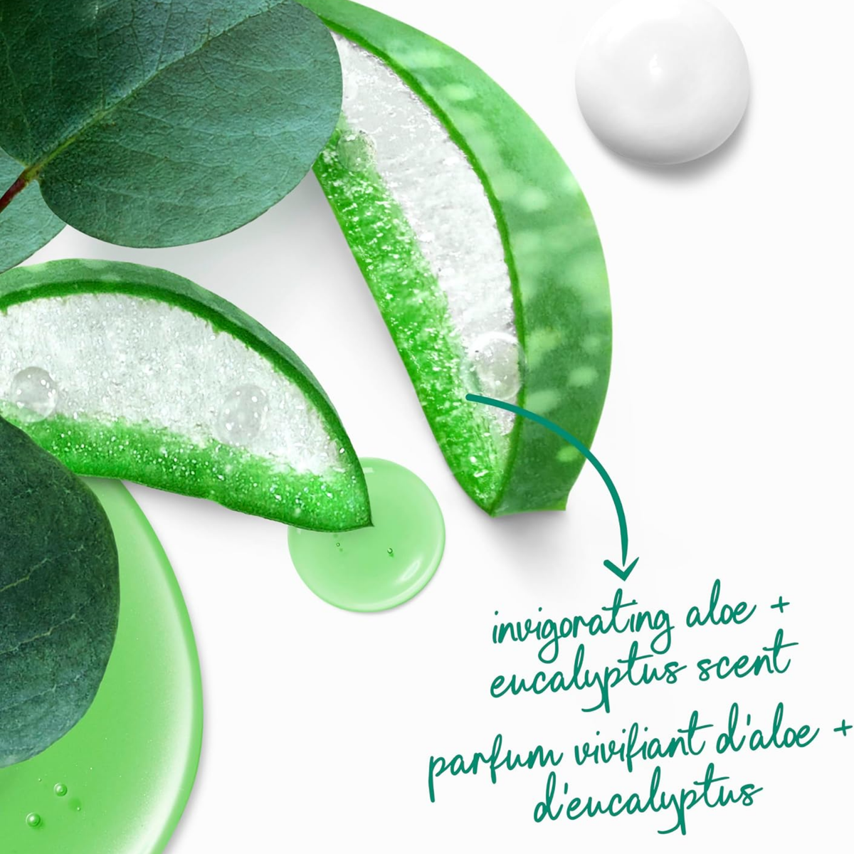 Dove Invigorate Aloe & Eucalyptus Oil Body Wash