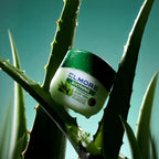 elmore petroleum jelly soothing aloe vera review