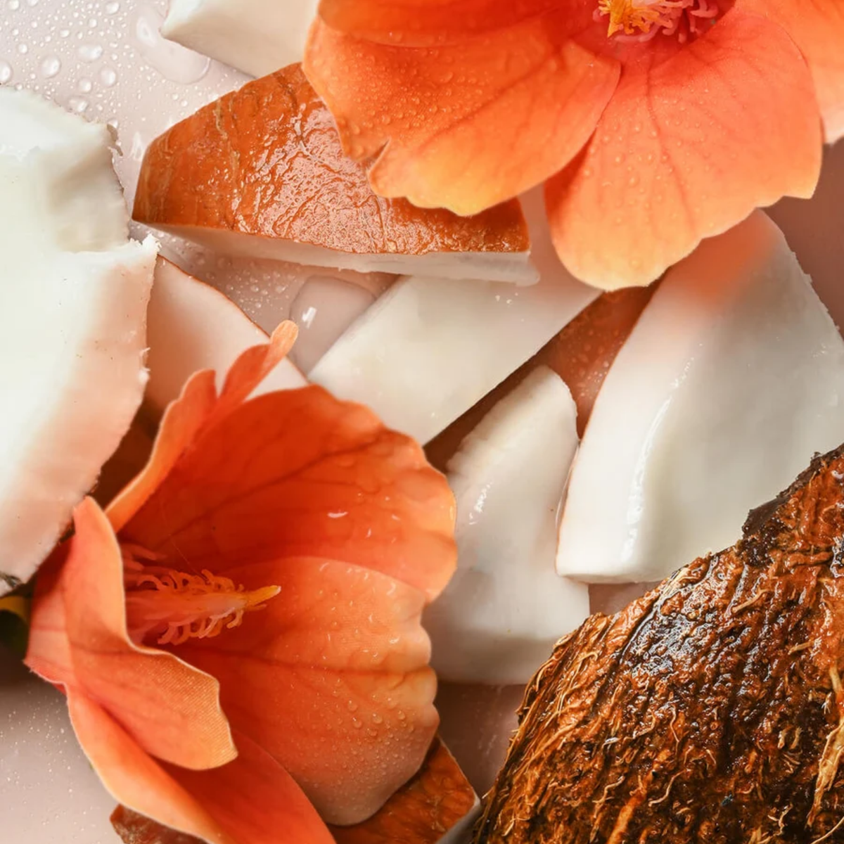 Evolution Of Smooth Shea Butter 24H Moisture Hydration Lotion Coconut Waters