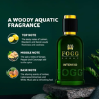 Fogg Scent Intensio Eau De Parfum For Men