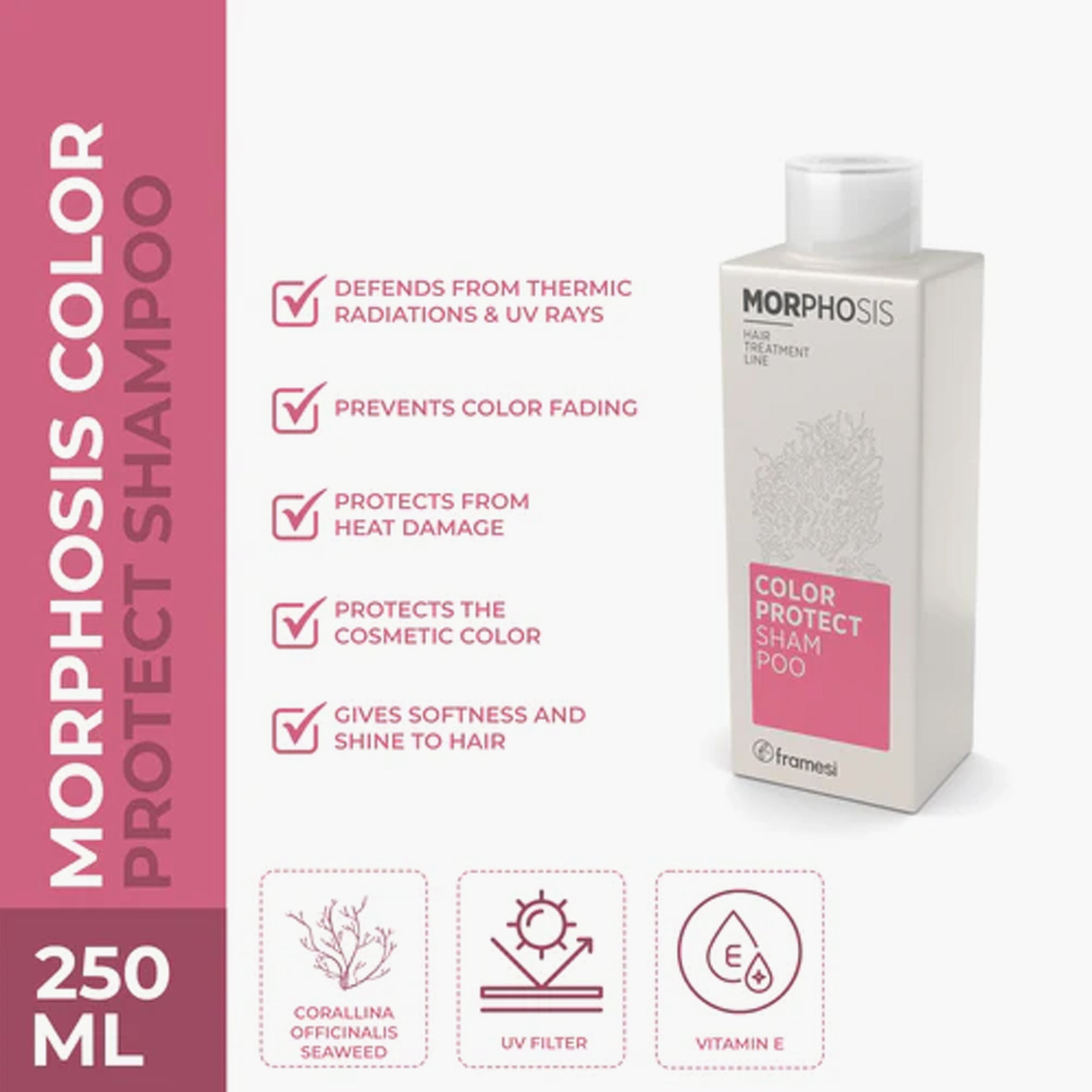 Framesi Morphosis Color Protect Shampoo & Conditioner Kit 250ml