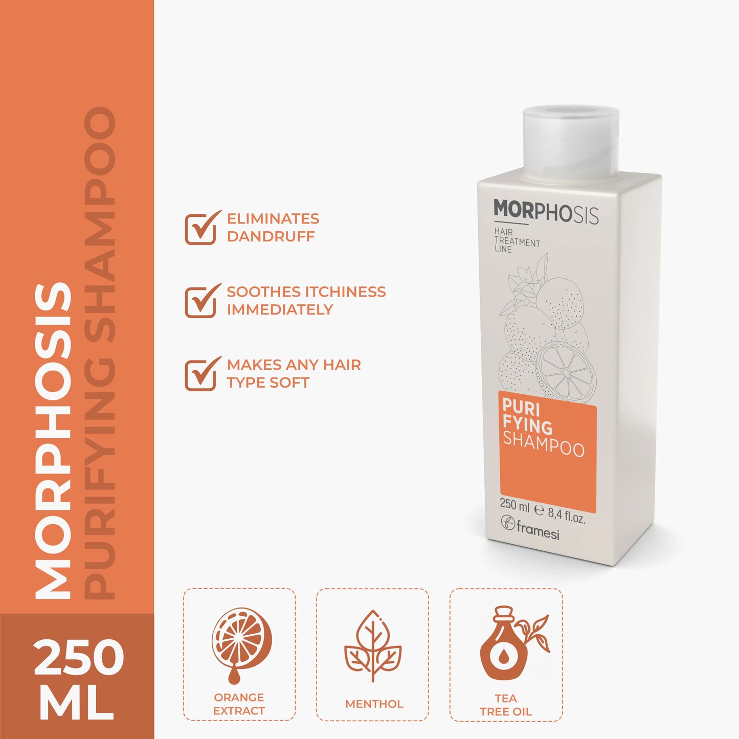 Framesi Morphosis Purifying Shampoo 250ml