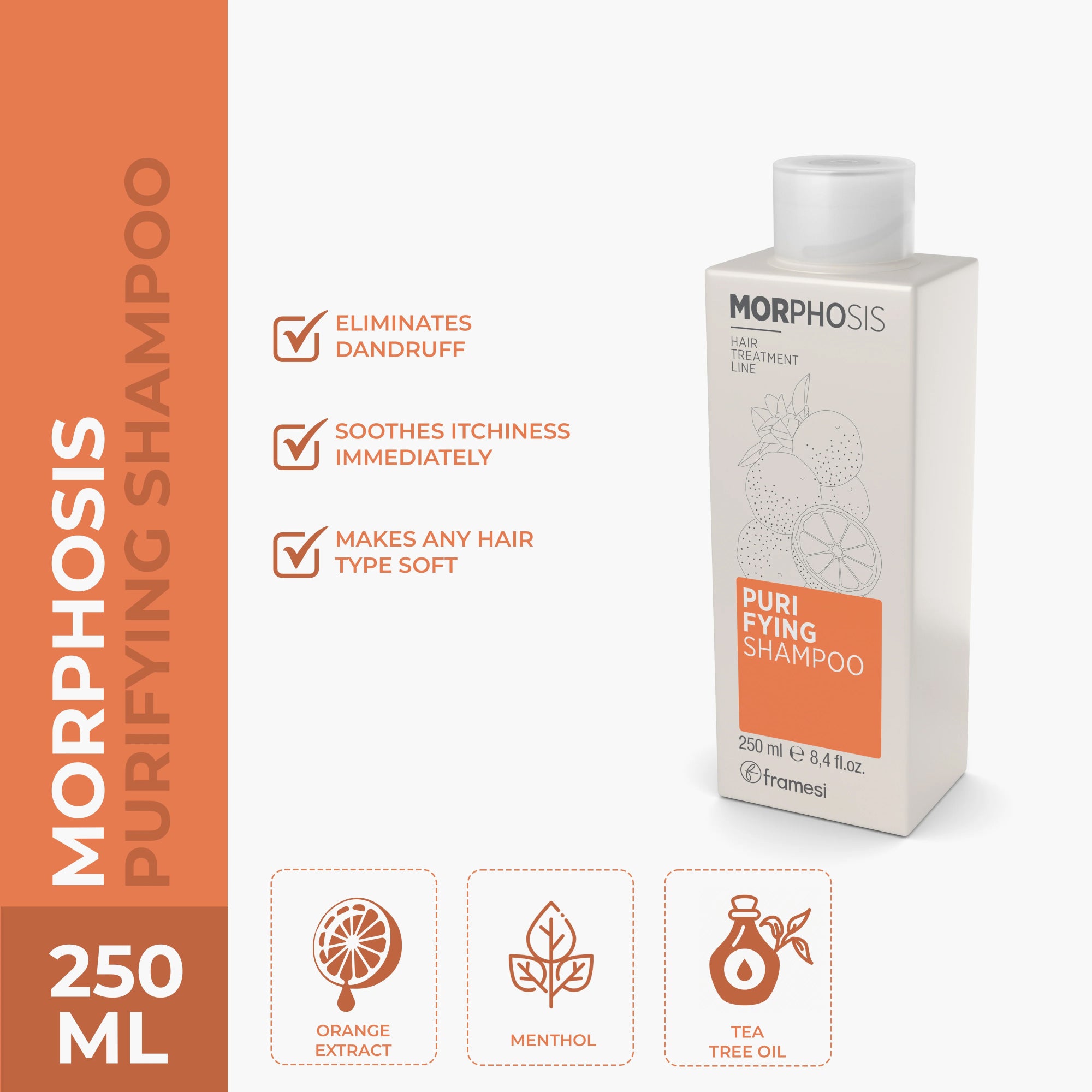 framesi morphosis purifying shampoo 250ml price in pakistan