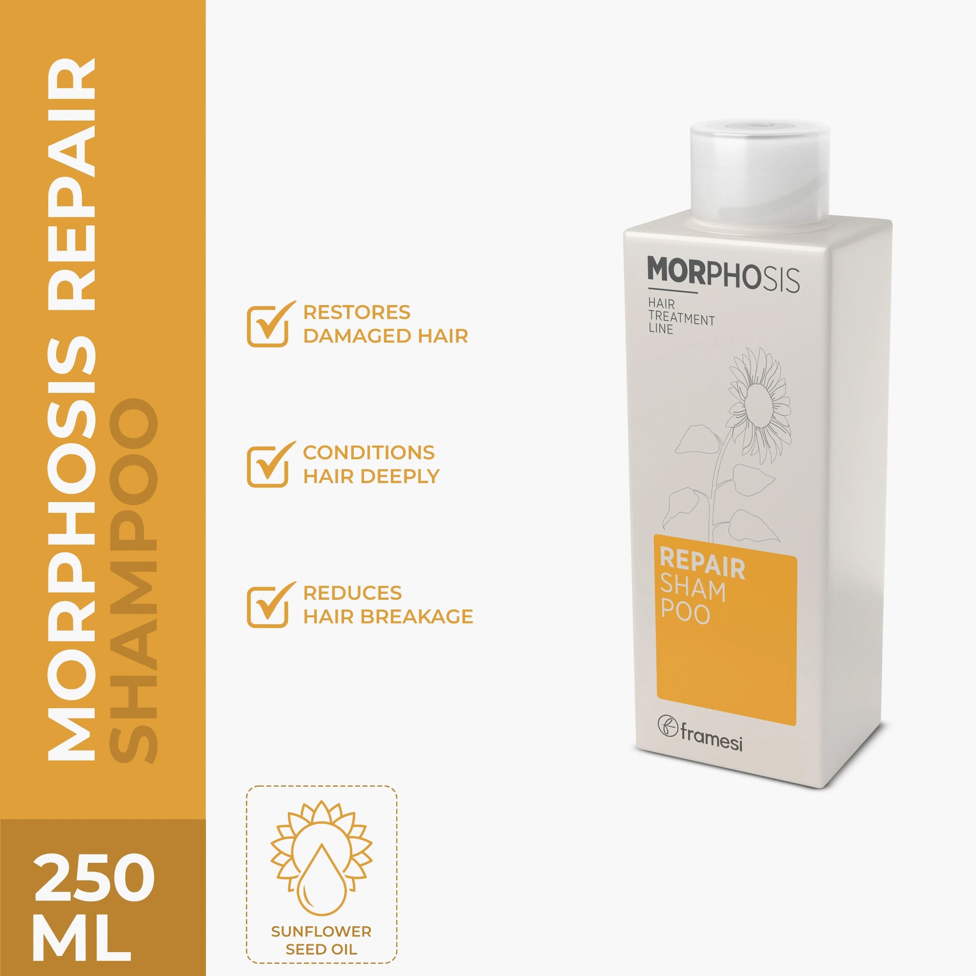 Framesi Morphosis Repair Shampoo 250ml