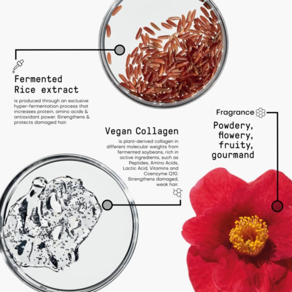 Framesi Morphosis Restructure Hair Beauty Elixir 150ml