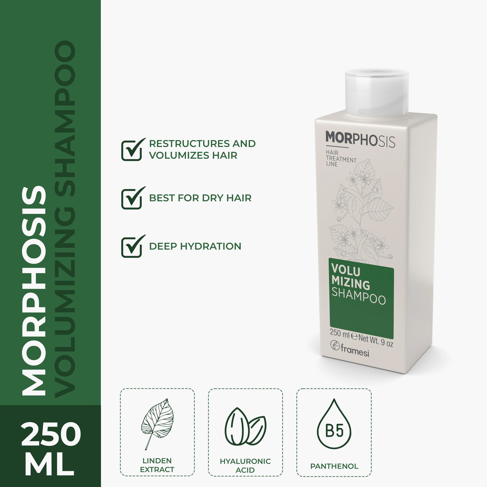 framesi morphosis volumizing shampoo 250ml pakistan