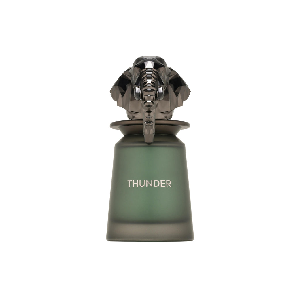 French Avenue Thunder Eau De Parfum For Men 100ml