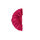 Rose Red