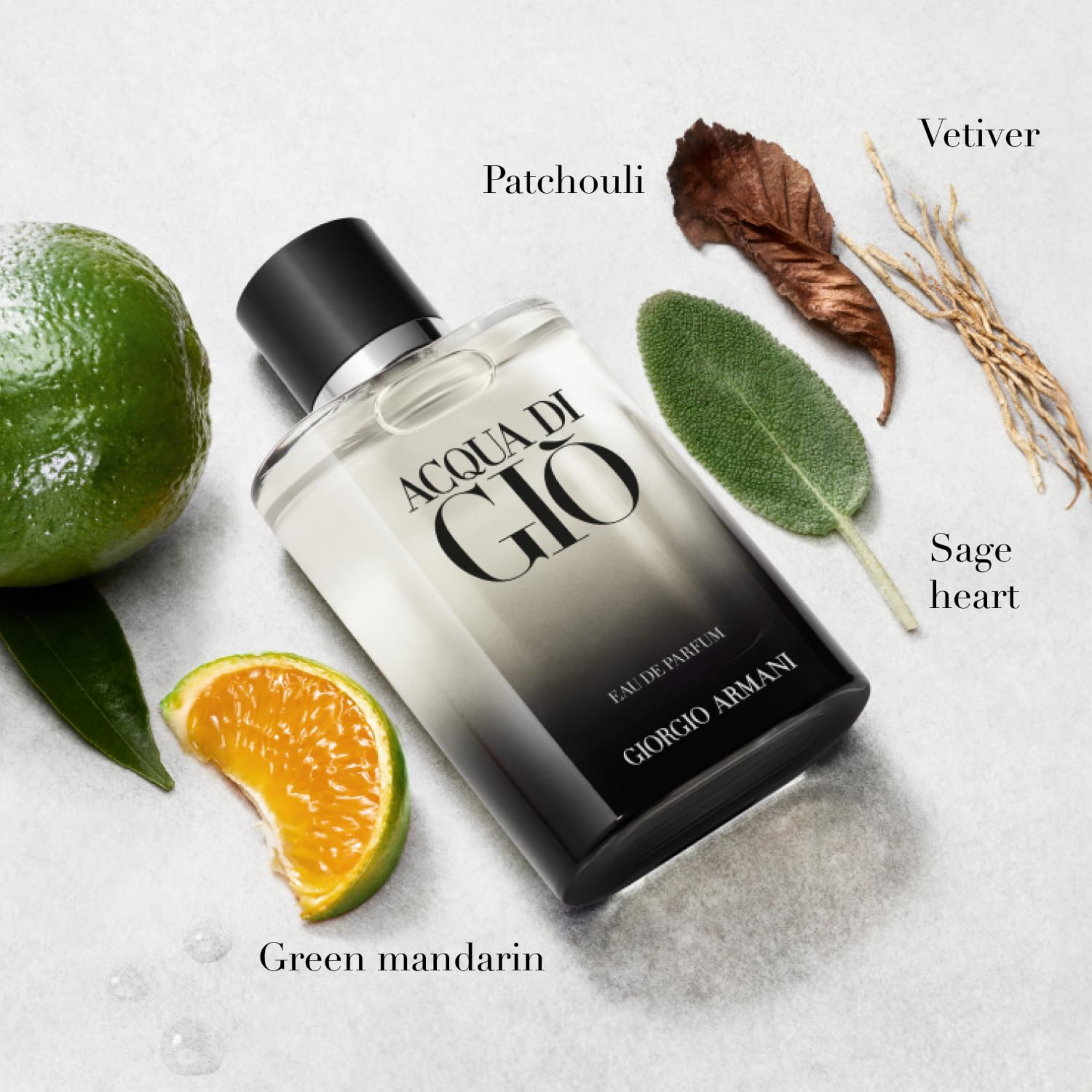 Giorgio Armani Acqua Di Gio Pour Homme Eau De Parfum 100ml