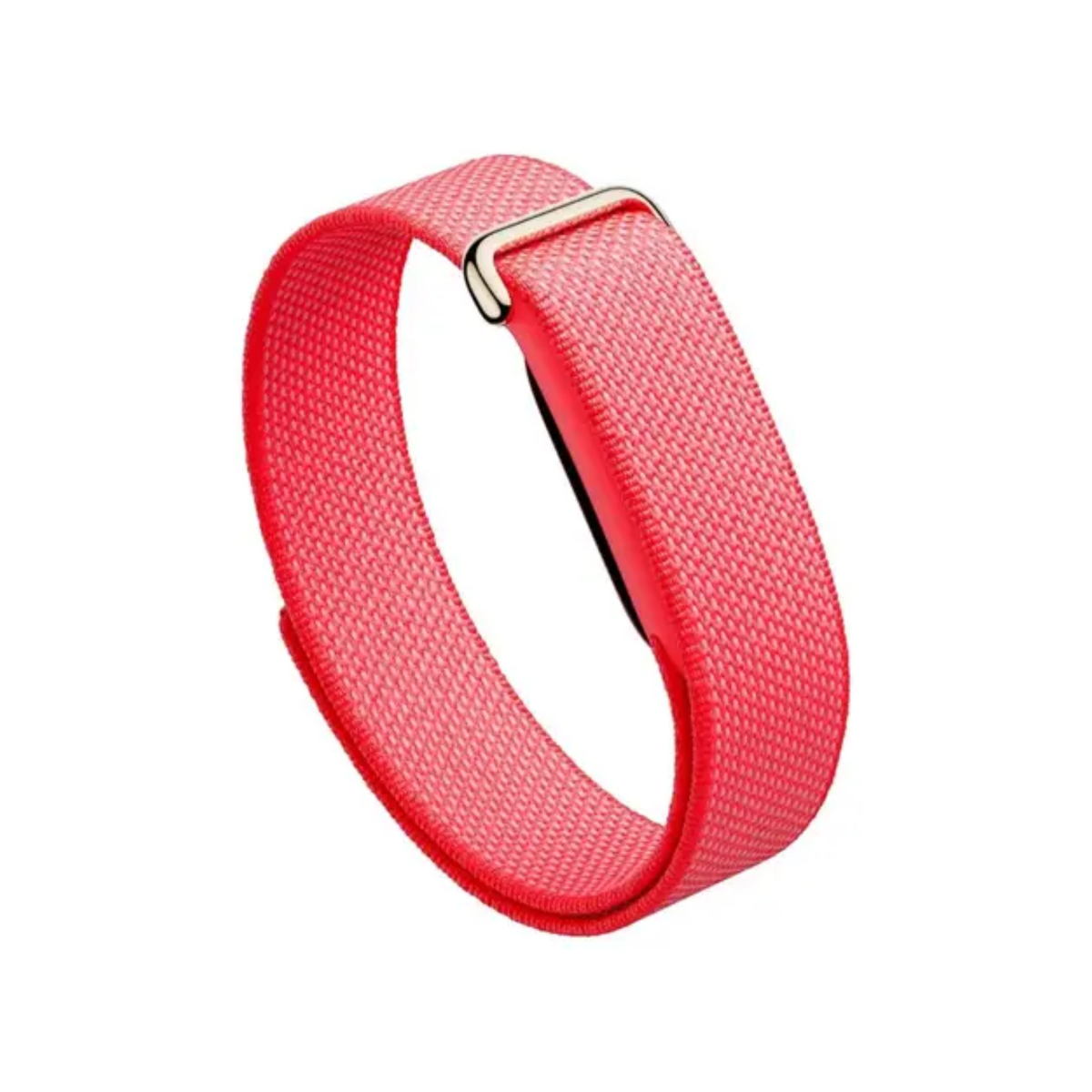 Google Fitbit Air