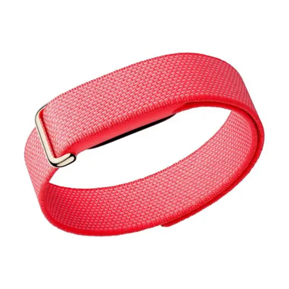 Google Fitbit Air