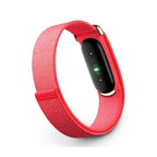 Google Fitbit Air