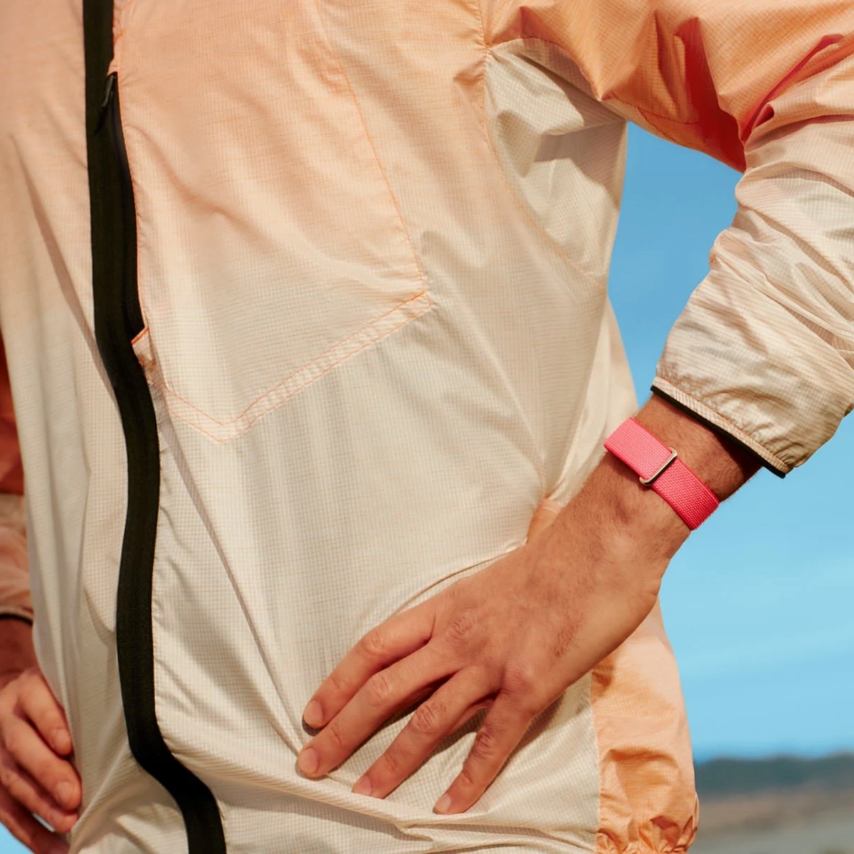 Google Fitbit Air