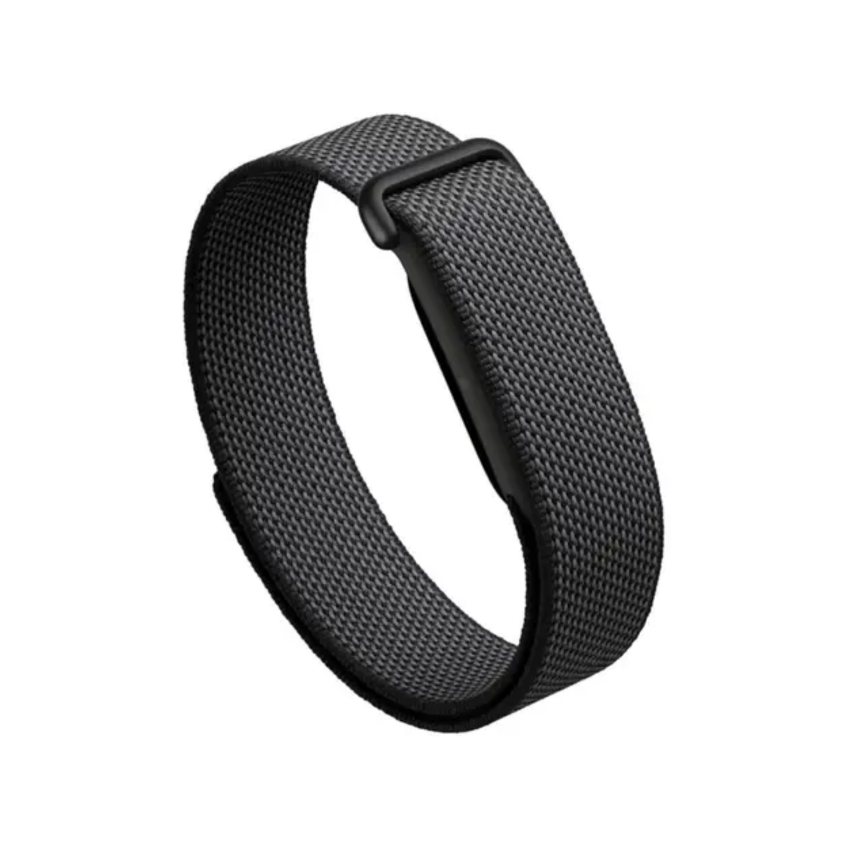 Google Fitbit Air