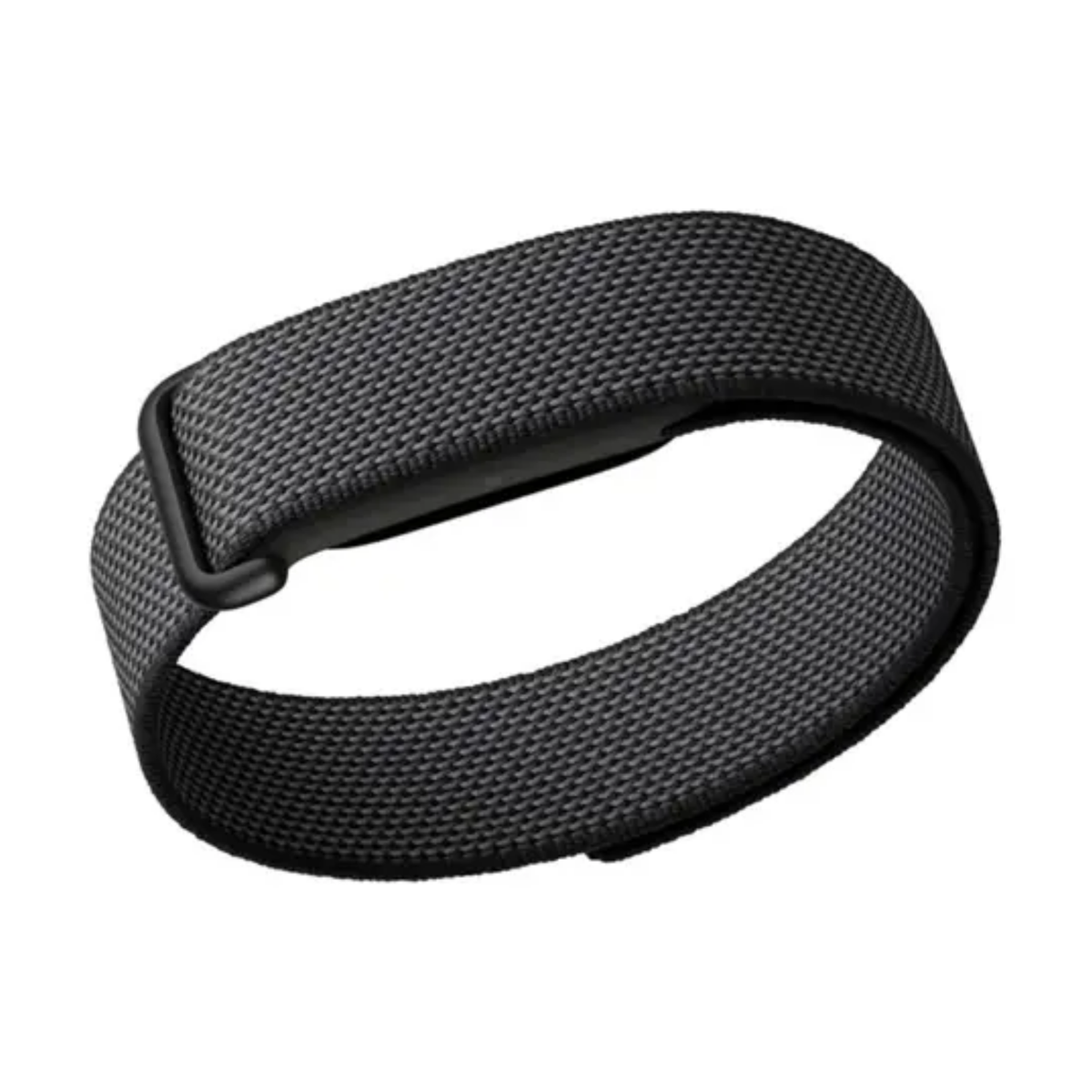 Google Fitbit Air