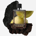 Hermes Terre D Eau De Parfum Intense For Men