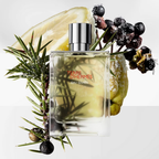 Hermes Terre D Eau Givree Eau De Parfum For Men