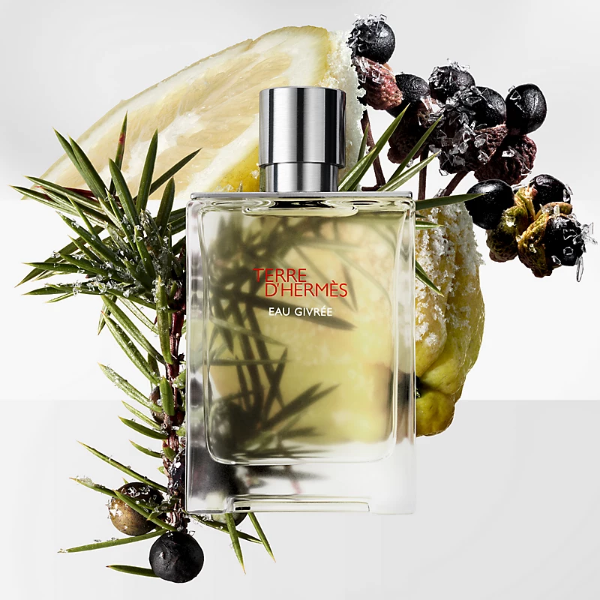 Hermes Terre D Eau Givree Eau De Parfum For Men