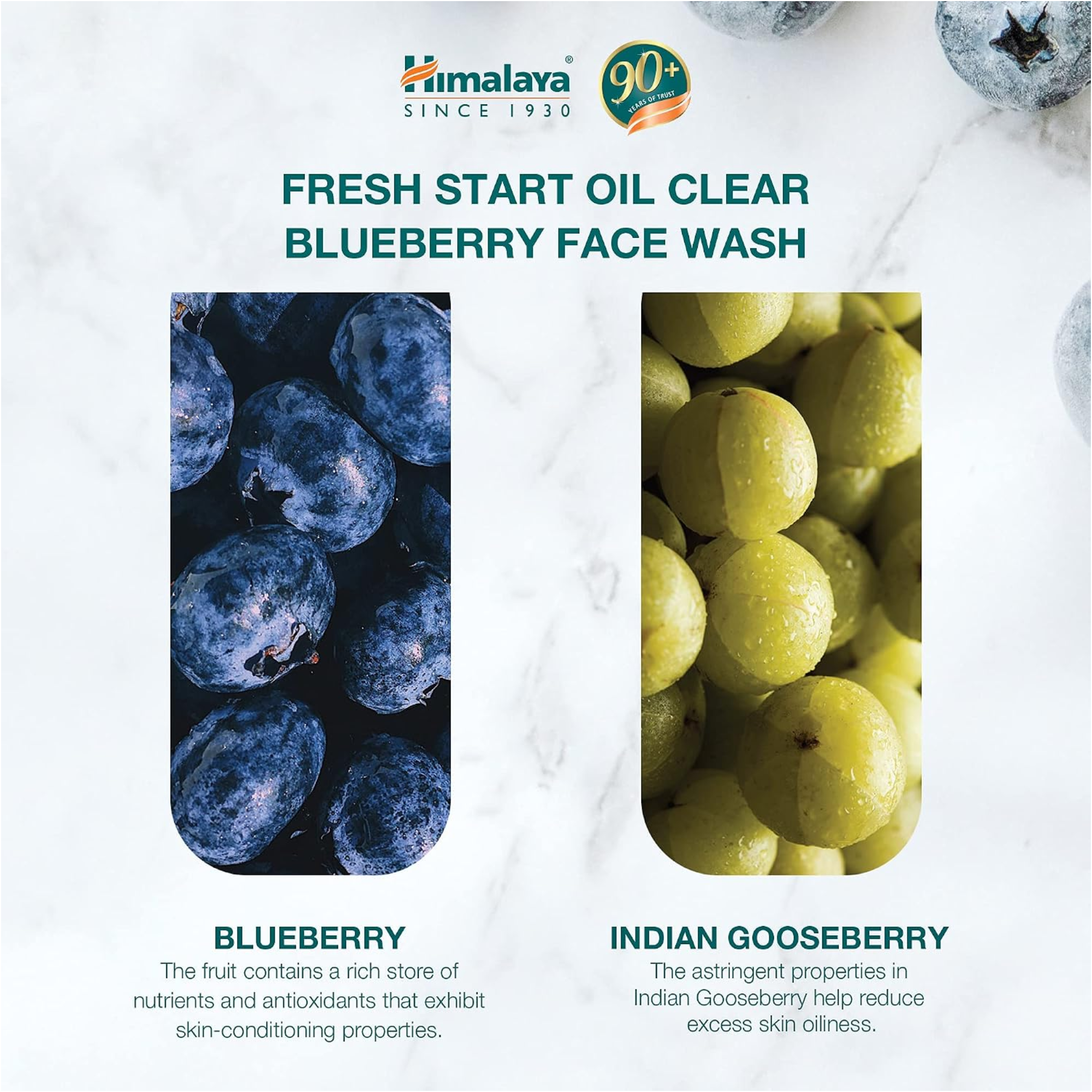 Himalaya Fresh Start Oil Clear Blueberry Face Wash