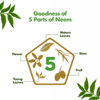 Himalaya Purifying Neem Serum
