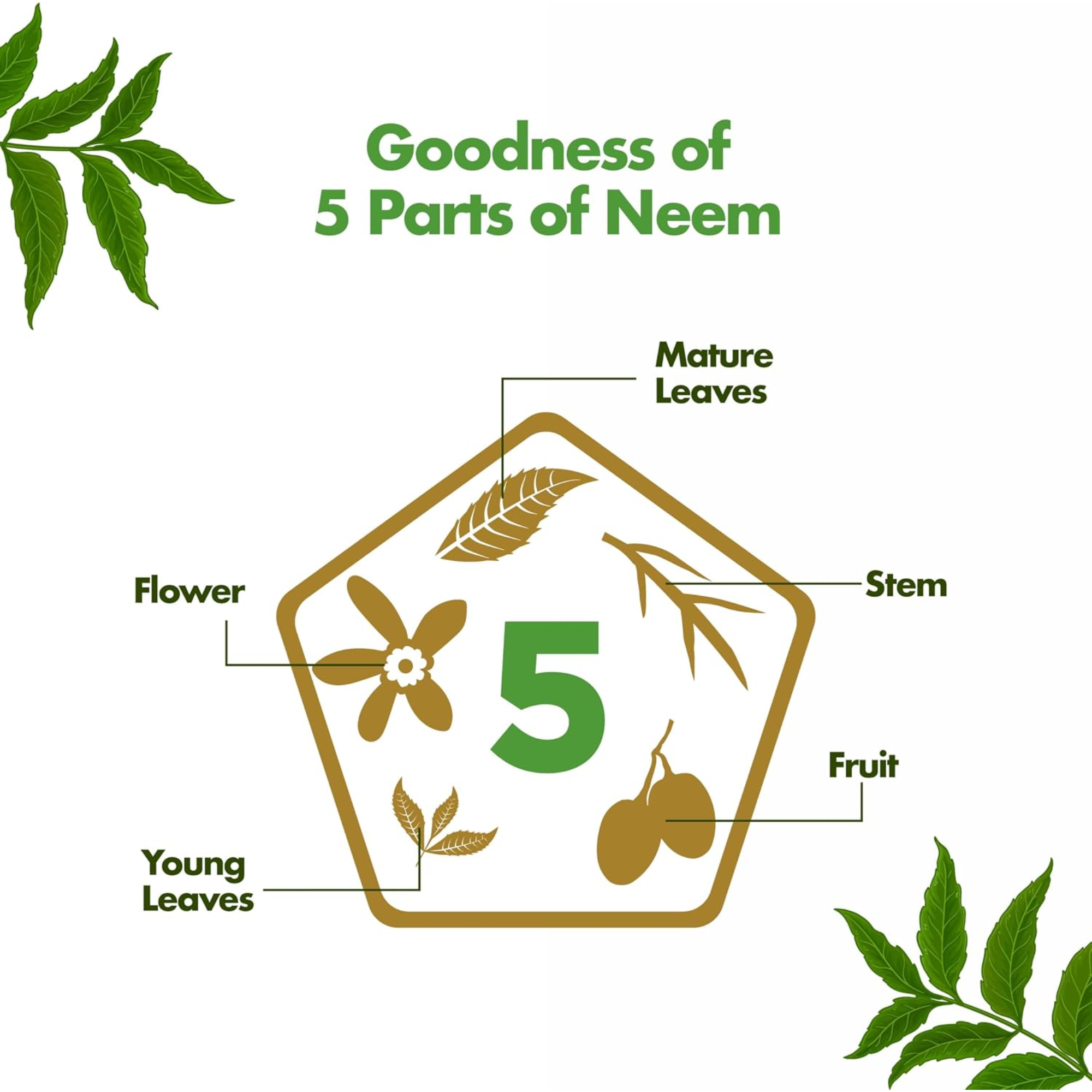 Himalaya Purifying Neem Serum