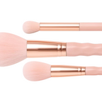 Bleuface Makeup Brushes how to use