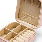 Bleuface Cosmetic Case