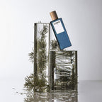 loewe 7 cobalt eau de parfum pour homme 100ml price