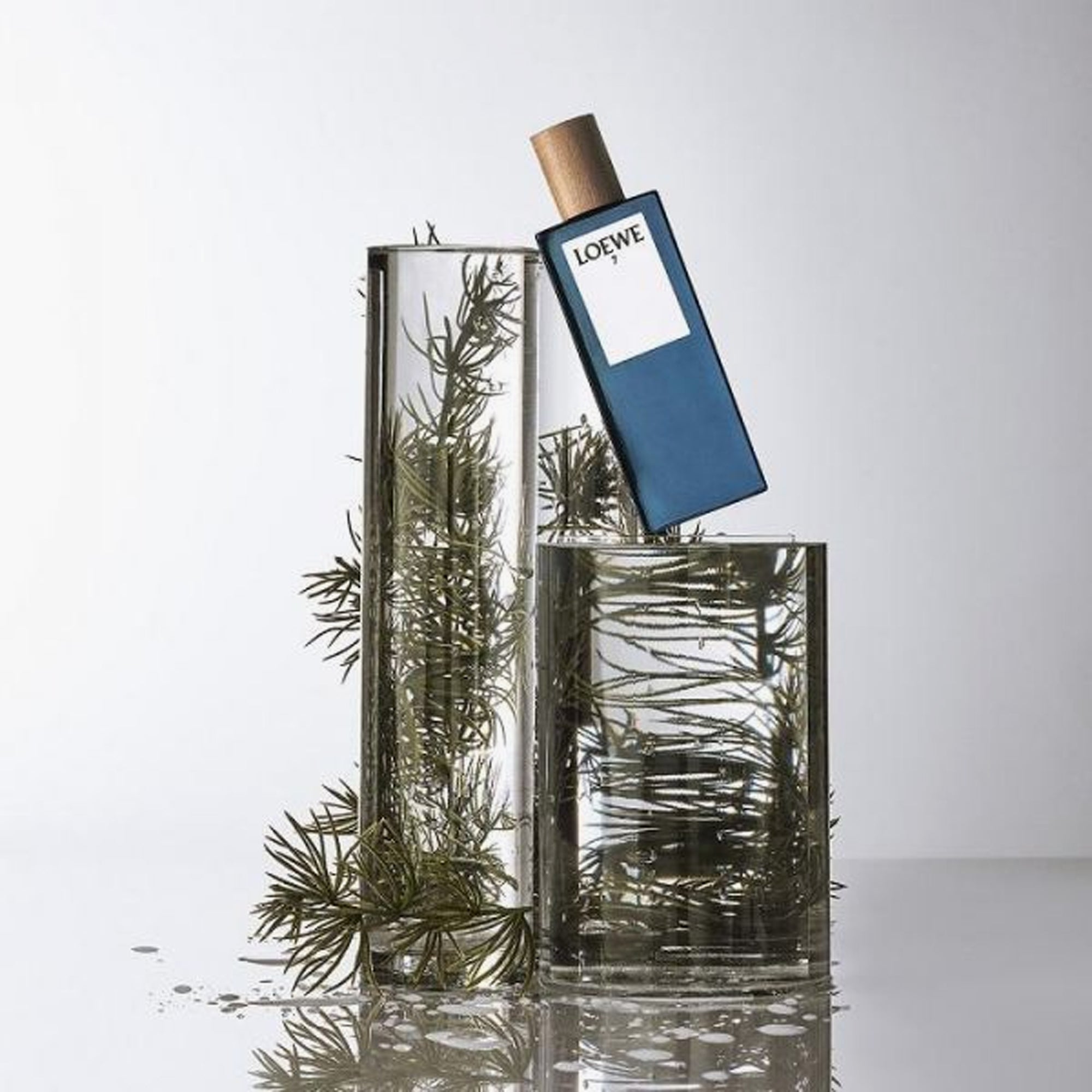 loewe 7 cobalt eau de parfum pour homme 100ml price