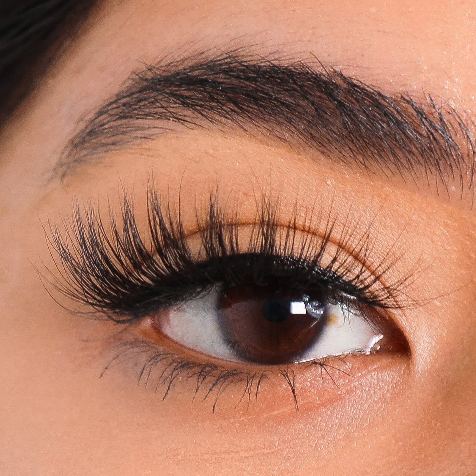 Lurella Everlasting Eyelash Glue Latex Free Black 5ml