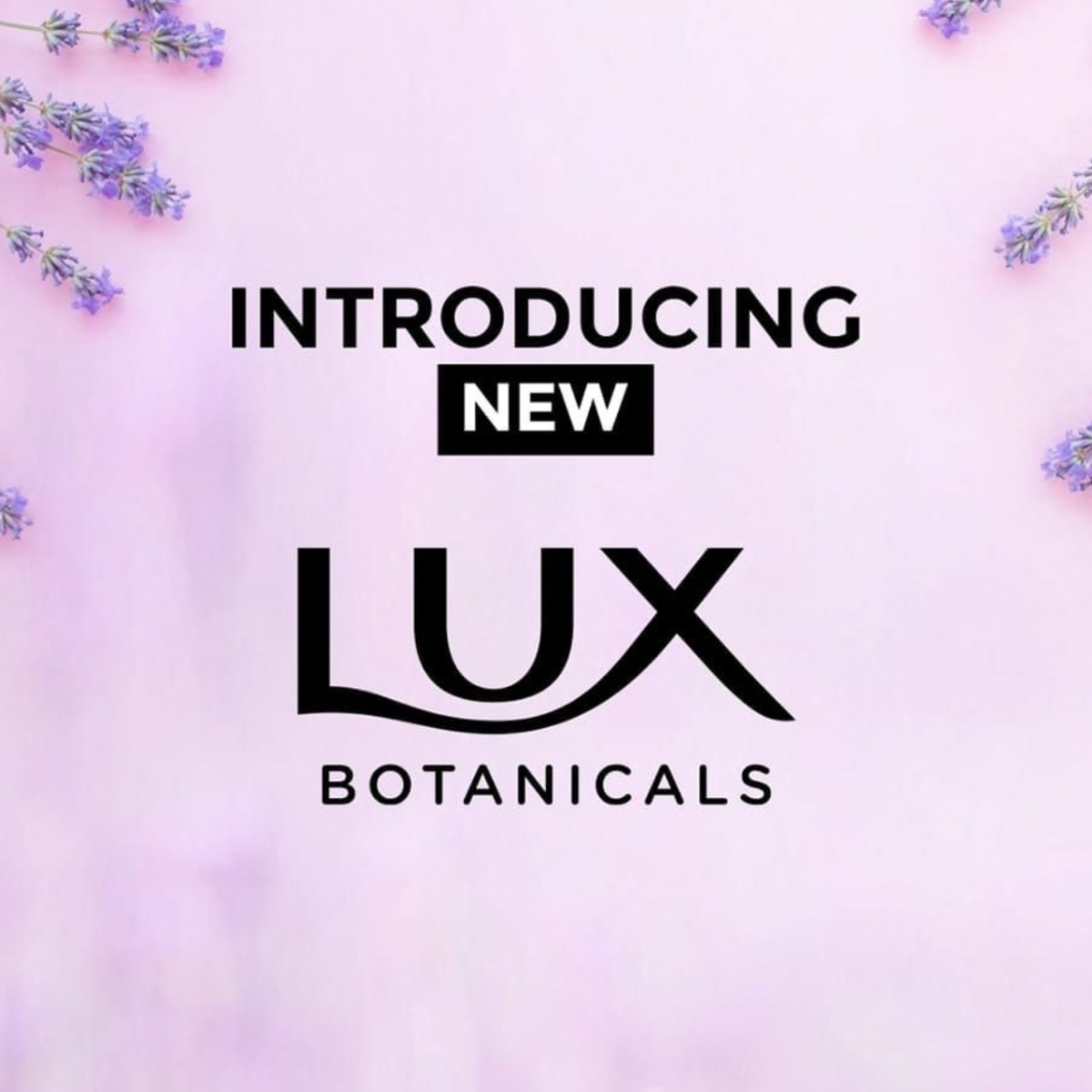 Lux Botanicals Lavender & Lotus Flower Oil Hand Wash Refill Pouch
