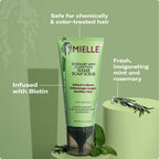 Mielle Rosemary Mint Clarifying Sugar Scalp Scrub 170gm how to use