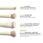 Morphe Buttery Blends Face Brush Set