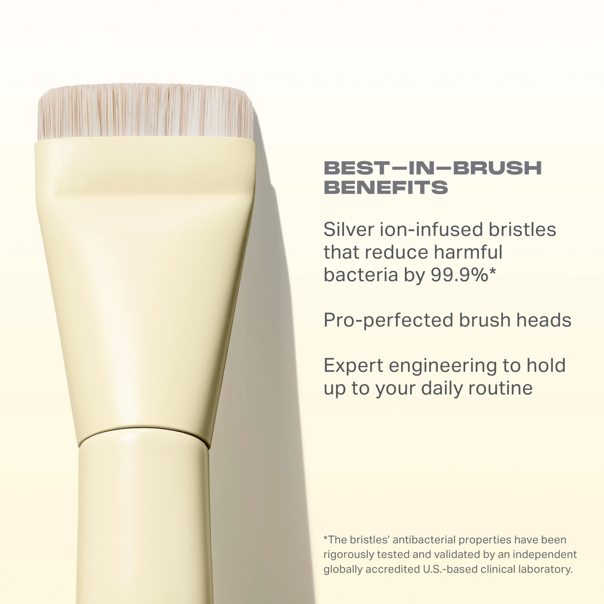 Morphe Buttery Blends Face Brush Set