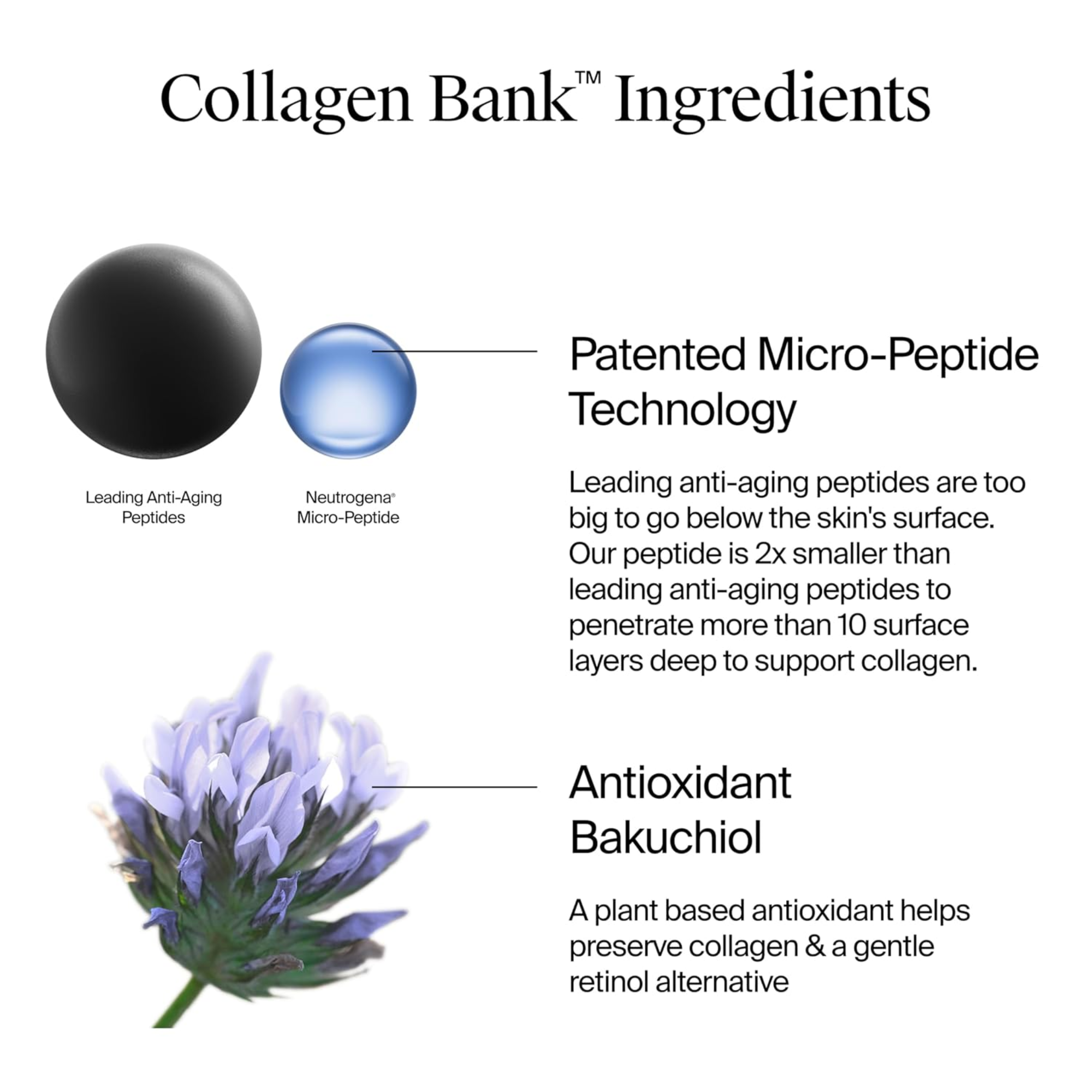 Neutrogena Collagen Bank Moisturizer
