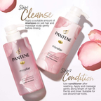 Pantene Micellar Detox & Hydrate Rose Water Scalp Shampoo