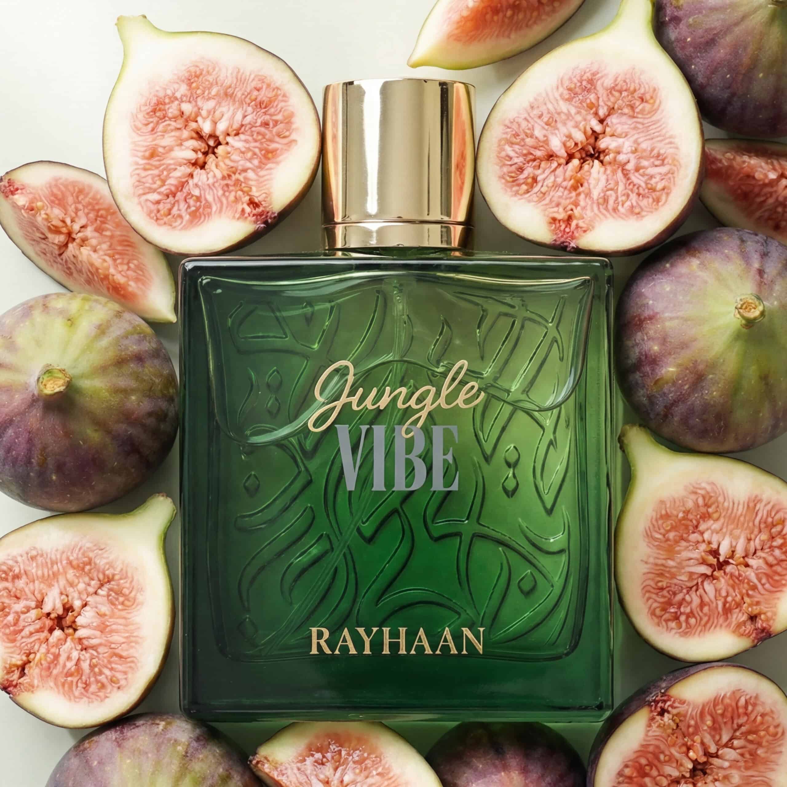 Rayhaan Jungle Vibe Eau De Parfum For Men 100ml price in Pakistan