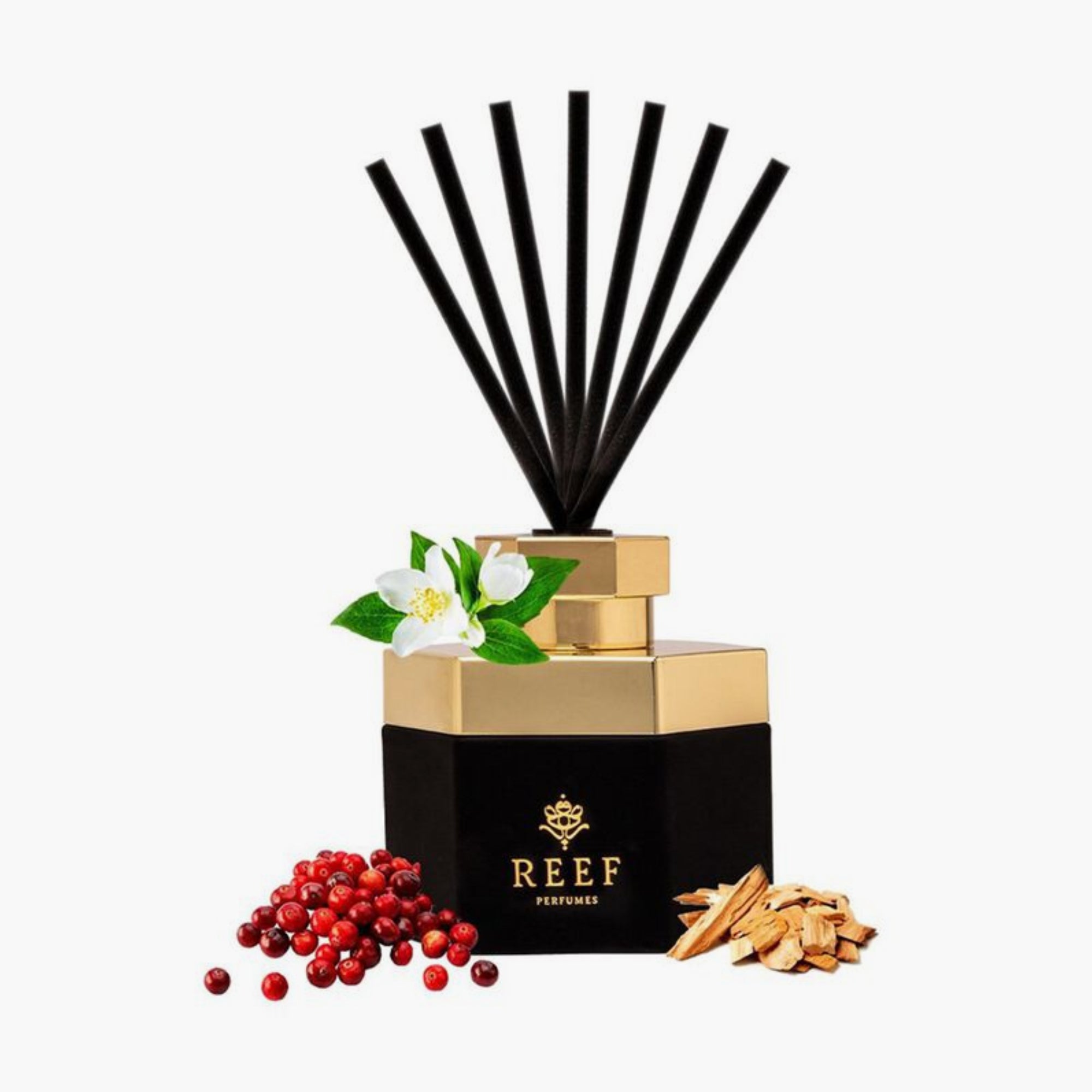 Reef 11 Diffuser Oil Refill 50ml
