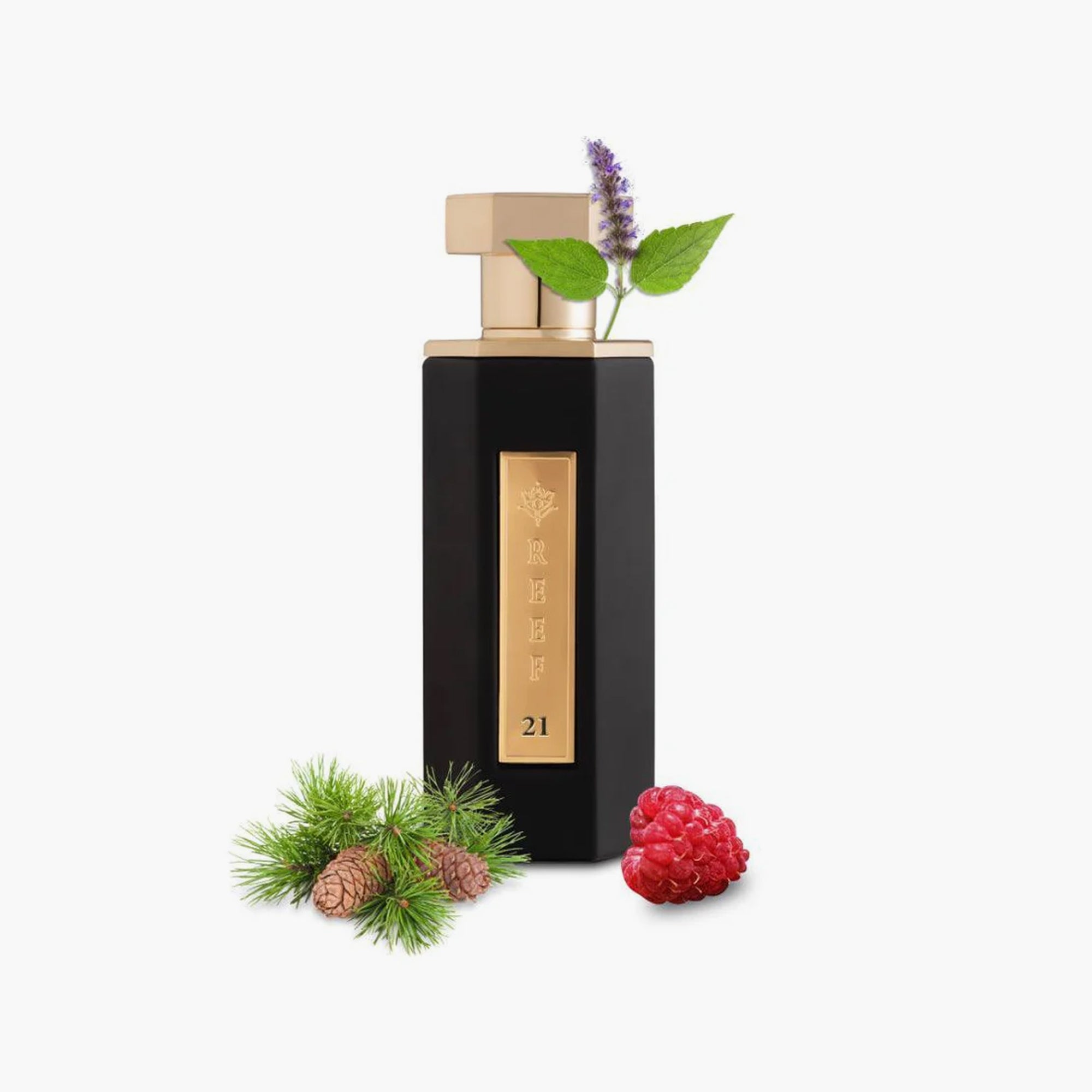 Reef 21 Eau De Parfum Unisex 100ml