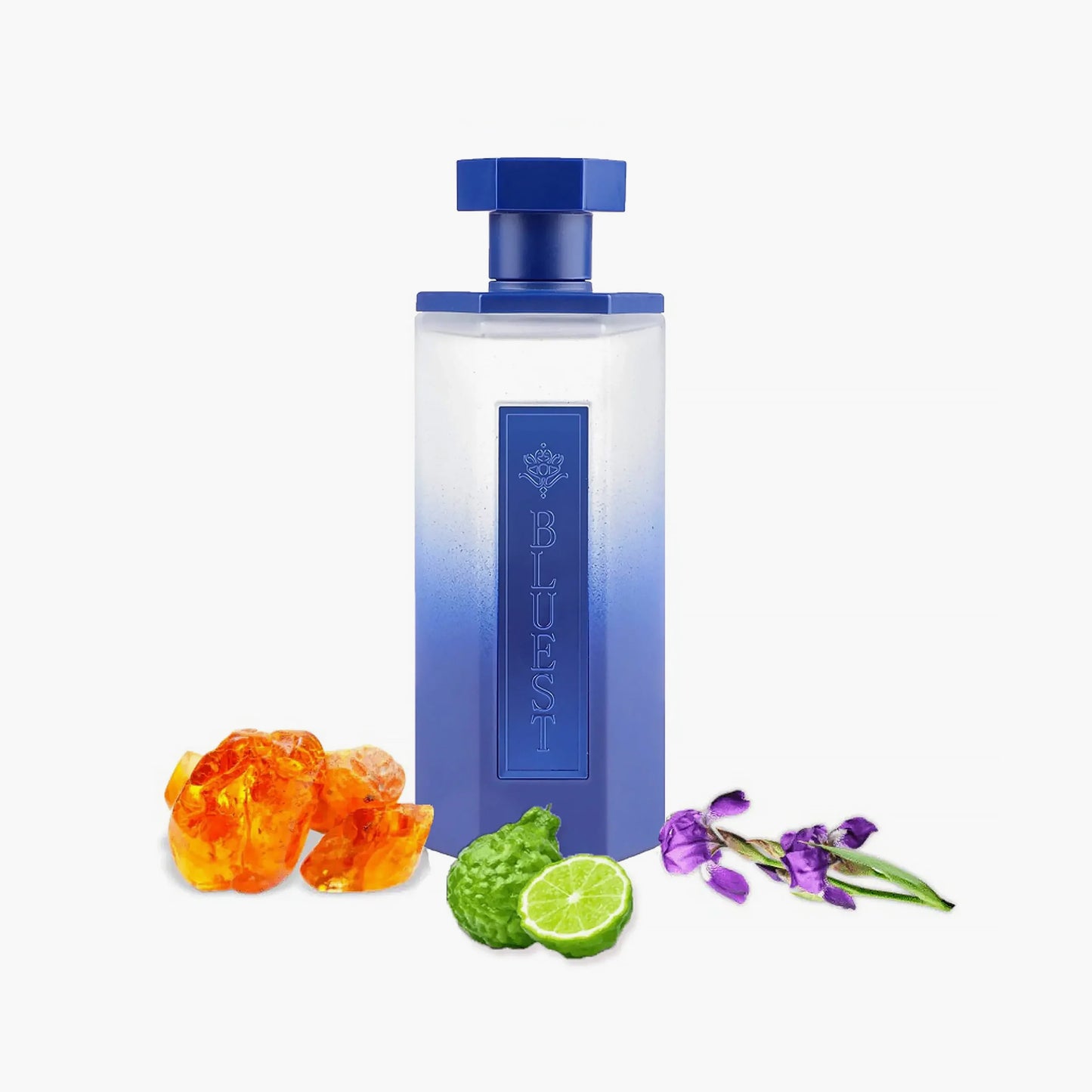 Reef Bluest Eau De Parfum Unisex 200ml