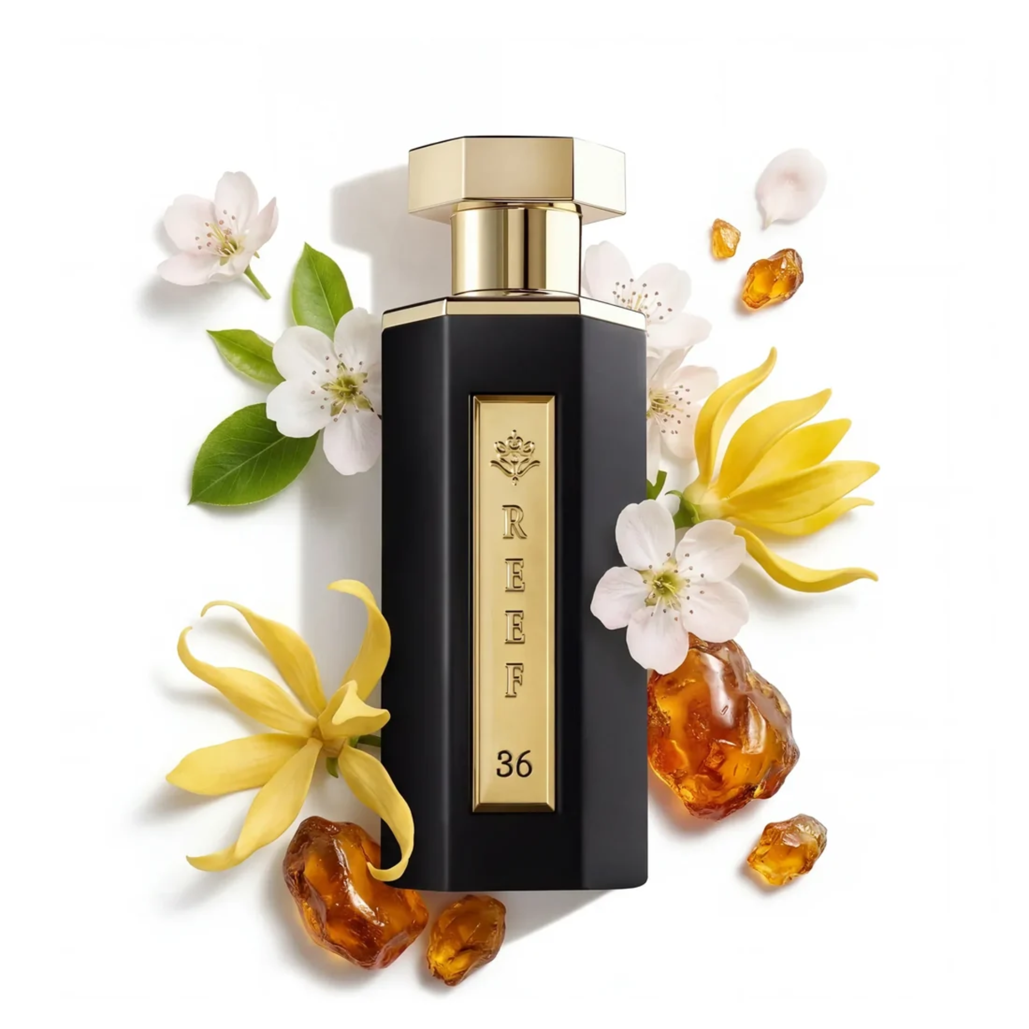 Reef 36 Eau De Parfum Unisex