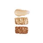 Revolution Highlight Icon Palette