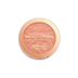 Revolution Blusher Reloaded 7.5gm