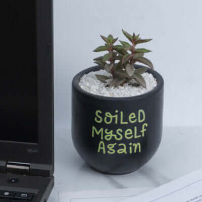 Candle Wick Store Planter Soiled Myself Again Only Available in Karachi