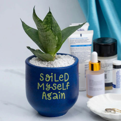 Candle Wick Store Planter Soiled Myself Again Only Available in Karachi