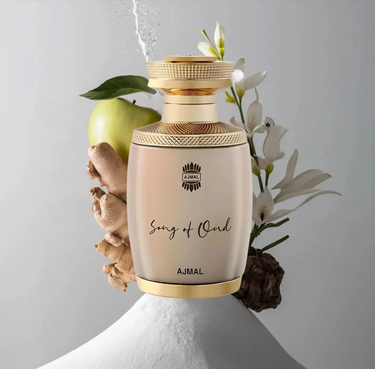 Ajmal Song Of Oud Eau De Parfum Unisex 75ml price in Pakistan
